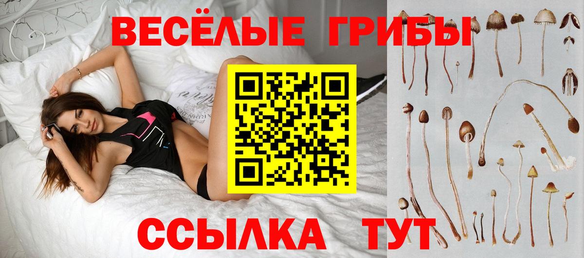 Галлюциногенные грибы мухоморы Петрозаводск