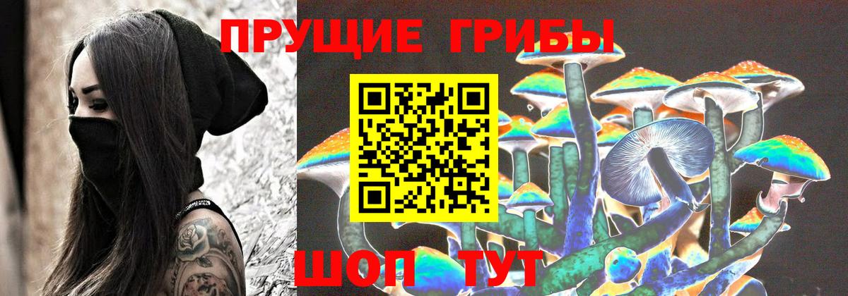 Галлюциногенные грибы Cubensis  Вход с VPN  наркота  Петрозаводск 